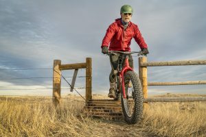 Budget on sale fat bikes