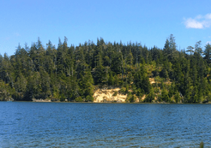 Oregon Dunes Triathlon