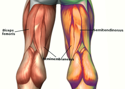 What Muscles Does Cycling Work Complete Tri