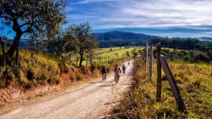 Avoiding Cars While Cycling