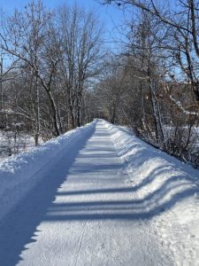 sunny winter run